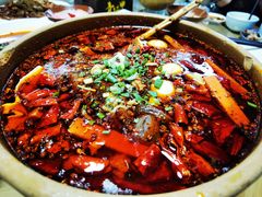 -青城甲(青城山店)