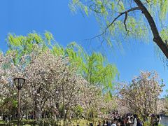 -元大都城垣遗址公园