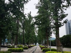 -百林公园-两江幸福广场