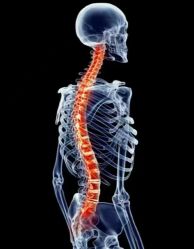 -U+YOGA优伽瑜伽·普拉提