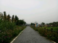 -田园东方蜜桃村的田野营地