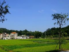 -红山村