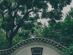 -广州兰圃