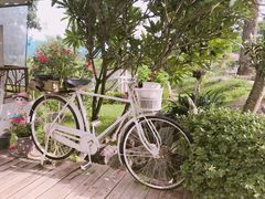 -黄色小屋