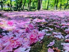 -白塘生态植物园