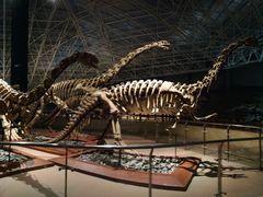 景点-世界恐龙谷景区