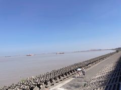 -上海滨江森林公园