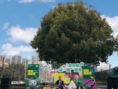 -成都泰迪熊博物馆