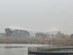 -贡湖湾湿地公园