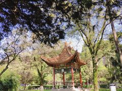 -陕西师范大学(雁塔校区)