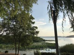 -丁香湖公园