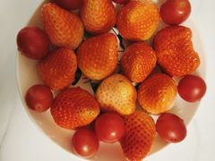 -天鹅到家·保姆月嫂育儿嫂(天河店)