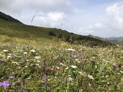 -灵山