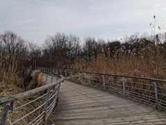 -西湖风景区-江洋畈生态公园