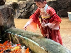 -正佳雨林生态植物园