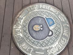 -line friends(明洞旗舰店)