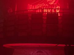 -Orangutan Bunker猩猩地堡酒吧(兰桂坊店)