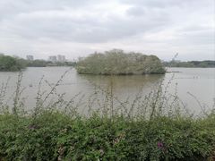 -海珠湖公园