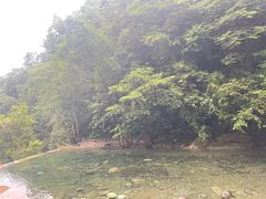 -西岭雪山大飞水景区