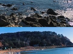 -烟墩角天鹅湖