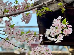 -回龙窝历史文化街区