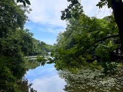 -白马涧龙池景区