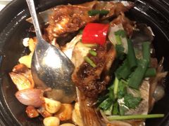 -大榕树下顺德菜(融创茂店)