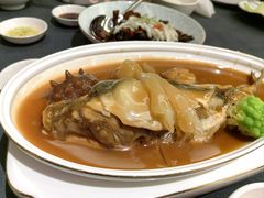 龙豚四海-沈灶河豚宴·河豚融合餐厅(汉中路店)