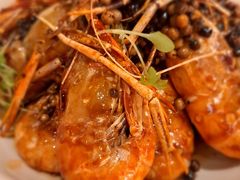 -桂满陇·海市蜃楼·黑金(国金店)