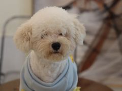 -共舞时光猫咖·狗咖(新街口店)