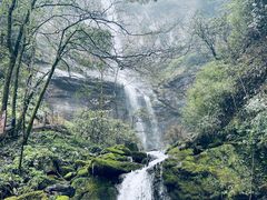 -瓦屋山景区