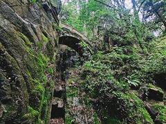 -莫干山风景区