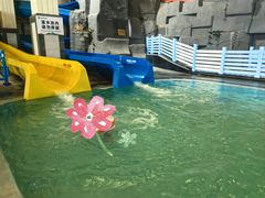 -南宫温泉水世界