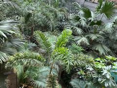 -黑龙江中医药大学附属第一医院