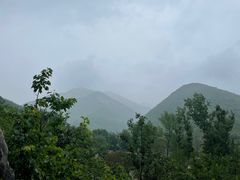 -幽岚山·童话森林
