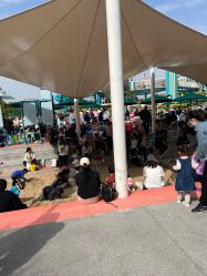 -季高兔窝窝亲子园(上海薰衣草公园店)