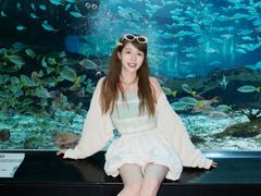 -海合安武汉极地海洋公园