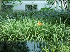 -杭州植物园
