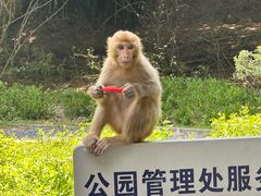 -黔灵山公园-南门售票处