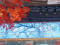-鸽子窝(宋庄店)