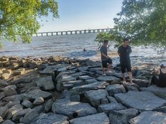 -宝安西湾红树林湿地公园