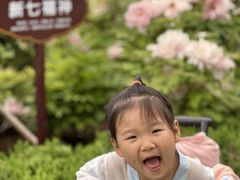 -洛阳市牡丹公园