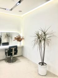 -SalonRivelin 沙龙瑞菱
