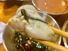 海蛎子-东镇老火锅(长春路首店)