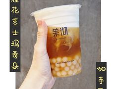 （大杯）桂花乌龙奶茶-茉沏(光启城店)