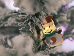 -iF摄影•全家福•证件照•形象照(南山店)