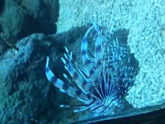 android_upload_pic-郑州海洋馆