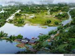 鸟瞰图-溱湖国家湿地公园