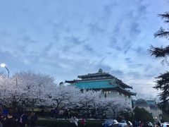 -武汉大学-樱园
