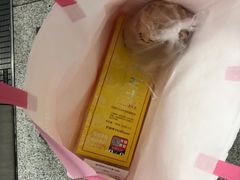 -好利来(梅江永旺店)